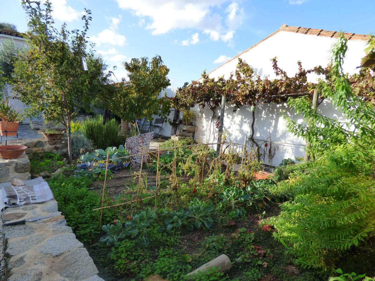 Solar Da Cumeada Bed and breakfast Reguengos de Monsaraz